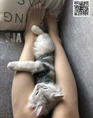 电视连续剧大染坊24集免费_BD英语在线观看高清