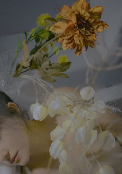 久久久成人一区Al刘亦菲_最近手机在线观看